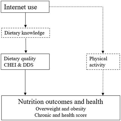 The effect of Internet use on nutritional intake and health outcomes: new evidence from rural China